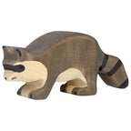 Racoon