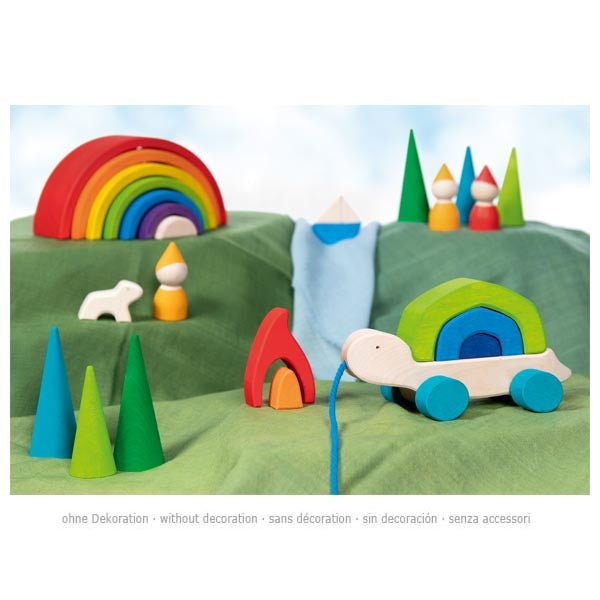 Pull-along Animal Tortoise - Tortuga