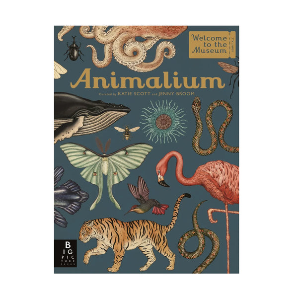 Animalium door Jenny Broom