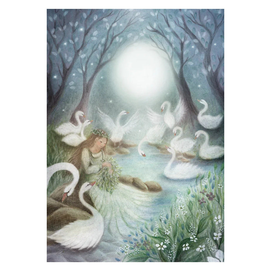 The Wild Swans - Postcard
