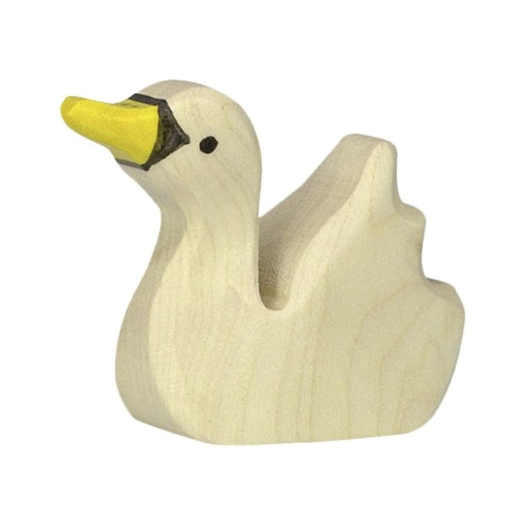 Baby Swan