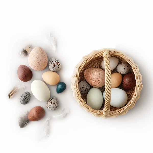 A Dozen Bird Eggs-Wooden Toys-Moon Picnic--Stardust-Store