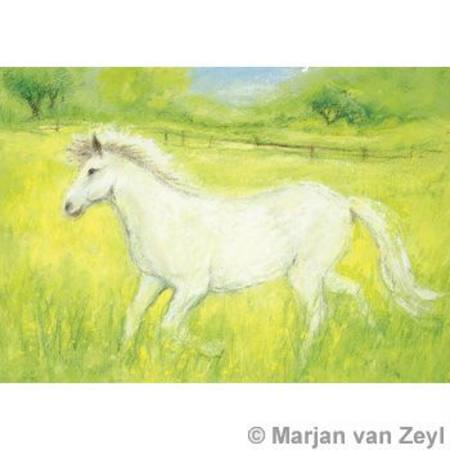 Marjan van Zeyl Little White Horse - Postcard-Spring - Summer Postcards-Marjan van Zeyl-8717185563207-Stardust-Store