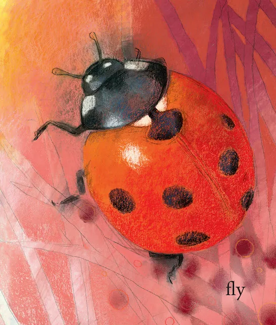 Hello Bugs, What Do You Do? by Loes Botman-Board Book-Books-9781782503835-Stardust-Store