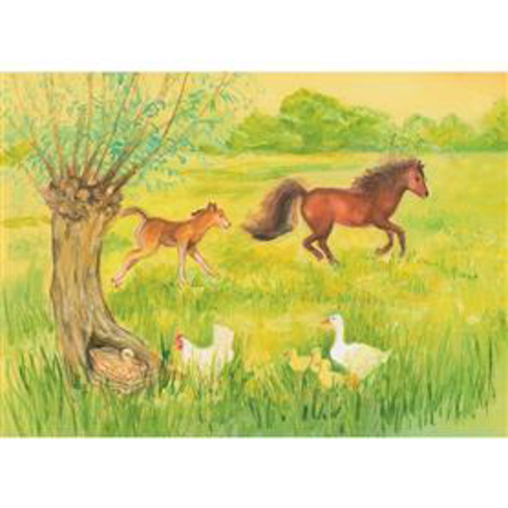 Marjan van Zeyl Foal in the Meadow - Postcard-Spring - Summer Postcards-Marjan van Zeyl-8717185564662-Stardust-Store