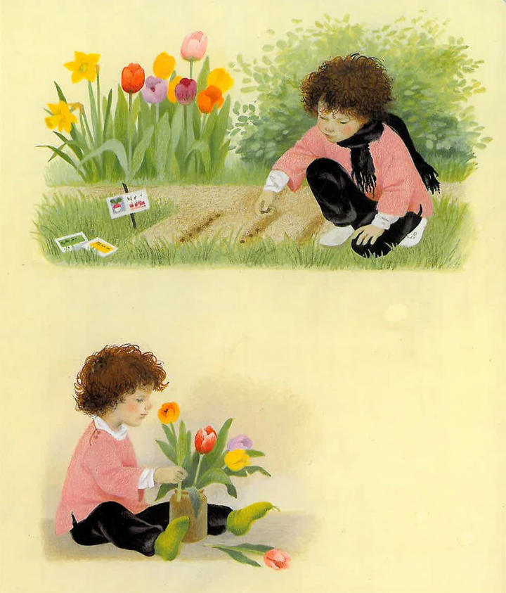 Spring by Gerda Muller-Board Book-Books-9780863151934-Stardust-Store