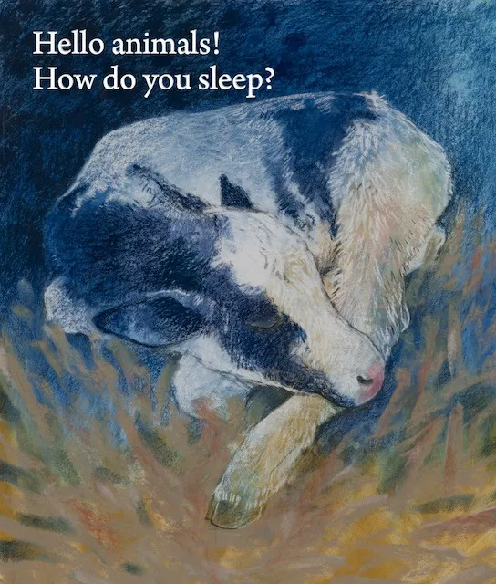Hello Animals, How Do You Sleep? by Loes Botman-Board Book-Books-9781782505518-Stardust-Store