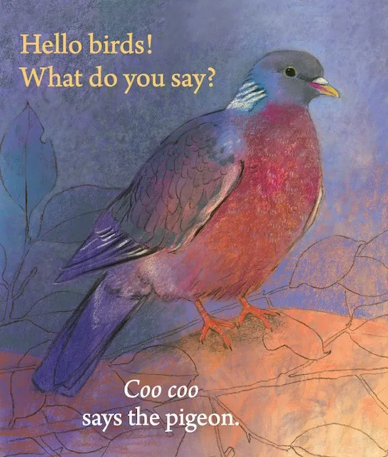 Hello Birds, What Do You Say? by Loes Botman-Board Book-Books-9781782504887-Stardust-Store