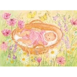 Marjan van Zeyl Baby in Basket - Postcard-Newborn Postcards-Marjan van Zeyl-8717185564525-Stardust-Store