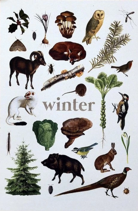 Ginger and the Fireflies Winter - Postcard-Autumn - Winter Postcards-Waldorf Postcards--Stardust-Store