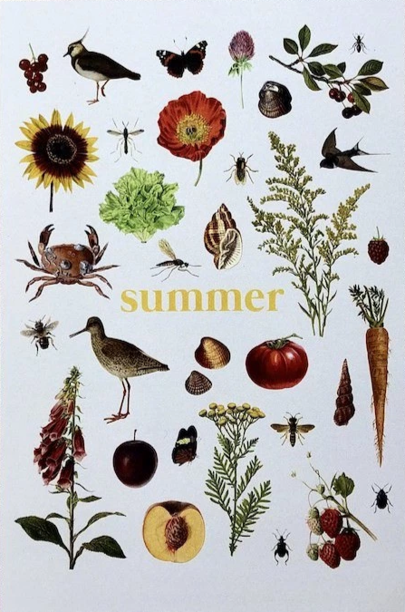 Ginger and the Fireflies Summer - Postcard-Spring - Summer Postcards-Waldorf Postcards--Stardust-Store