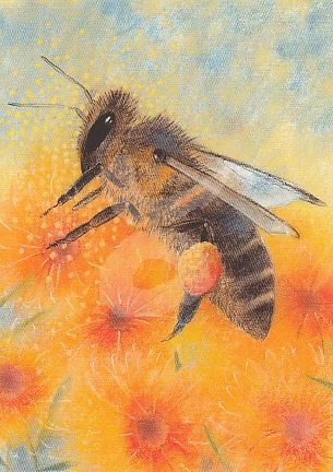 Loes Botman Bee - Postcard-Spring - Summer Postcards-Waldorf Postcards-8717027012306-Stardust-Store