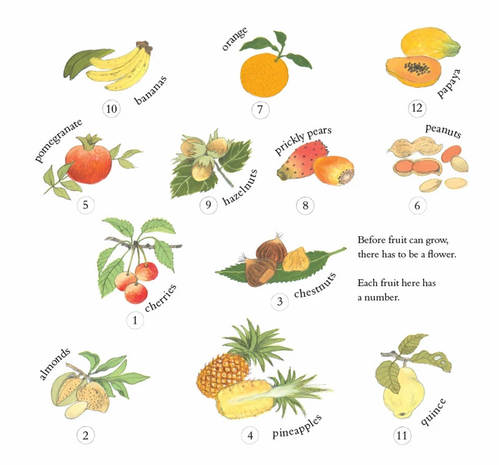 How Does My Fruit Grow? by Gerda Muller-Picture Books-Books-9781782504726-Stardust-Store