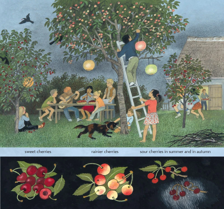 How Does My Fruit Grow? by Gerda Muller-Picture Books-Books-9781782504726-Stardust-Store