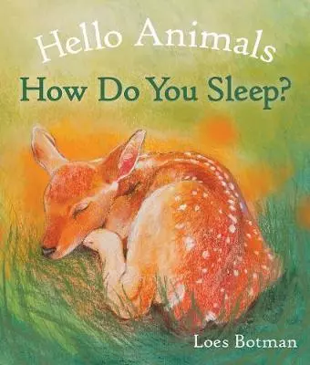 Hello Animals, How Do You Sleep? by Loes Botman-Board Book-Books-9781782505518-Stardust-Store