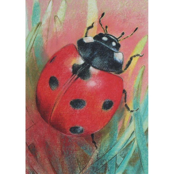 Loes Botman Ladybug - Postcard-Spring - Summer Postcards-Waldorf Postcards-8717027011743-Stardust-Store