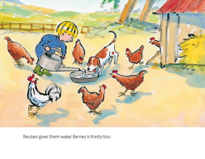 Reuben and Barney's Day on the Farm by Nannie Kuiper-Books-Books-9780863158582-Stardust-Store
