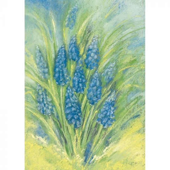 Marjan van Zeyl Grape Hyacinth - Postcard-Spring - Summer Postcards-Marjan van Zeyl--Stardust-Store
