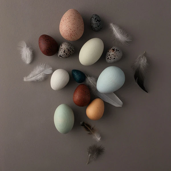 A Dozen Bird Eggs-Wooden Toys-Moon Picnic--Stardust-Store